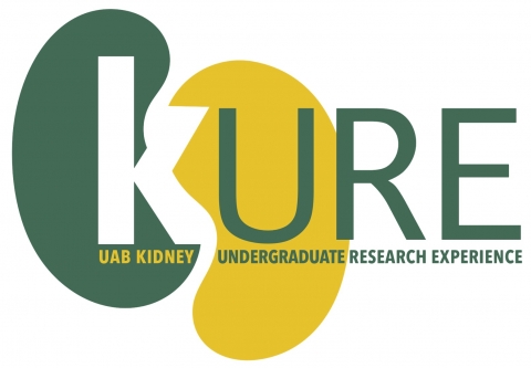 UAB Kidney Undergraduate Research Experience Logo