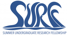 Summer Undergraduate Research Fellowship (SURF) Logo